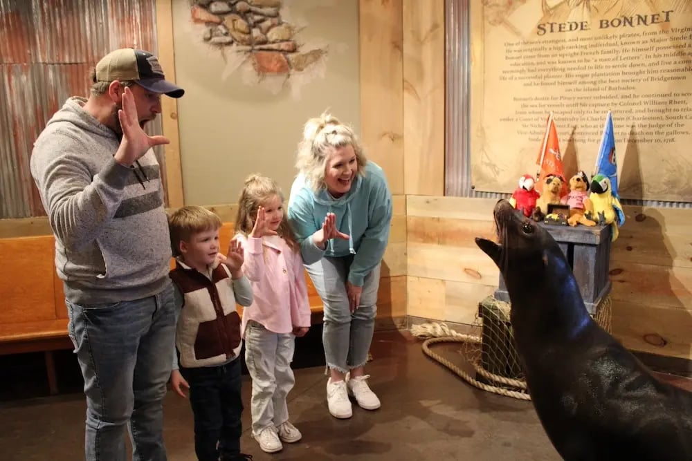 visiting pigeon forge with toddlers